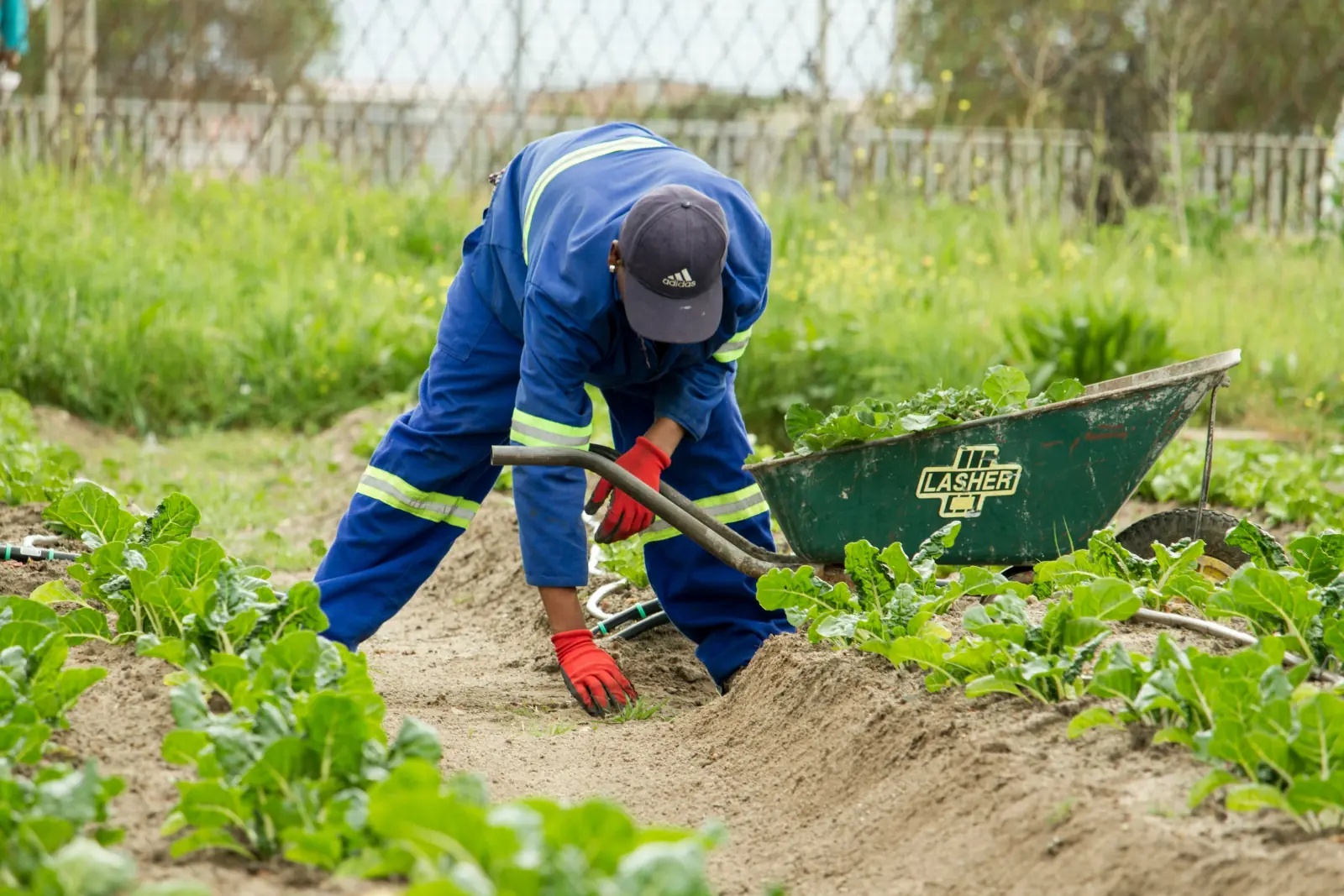 Liberals Say they will Rein in Temporary Foreign Worker Program after Historic Influx