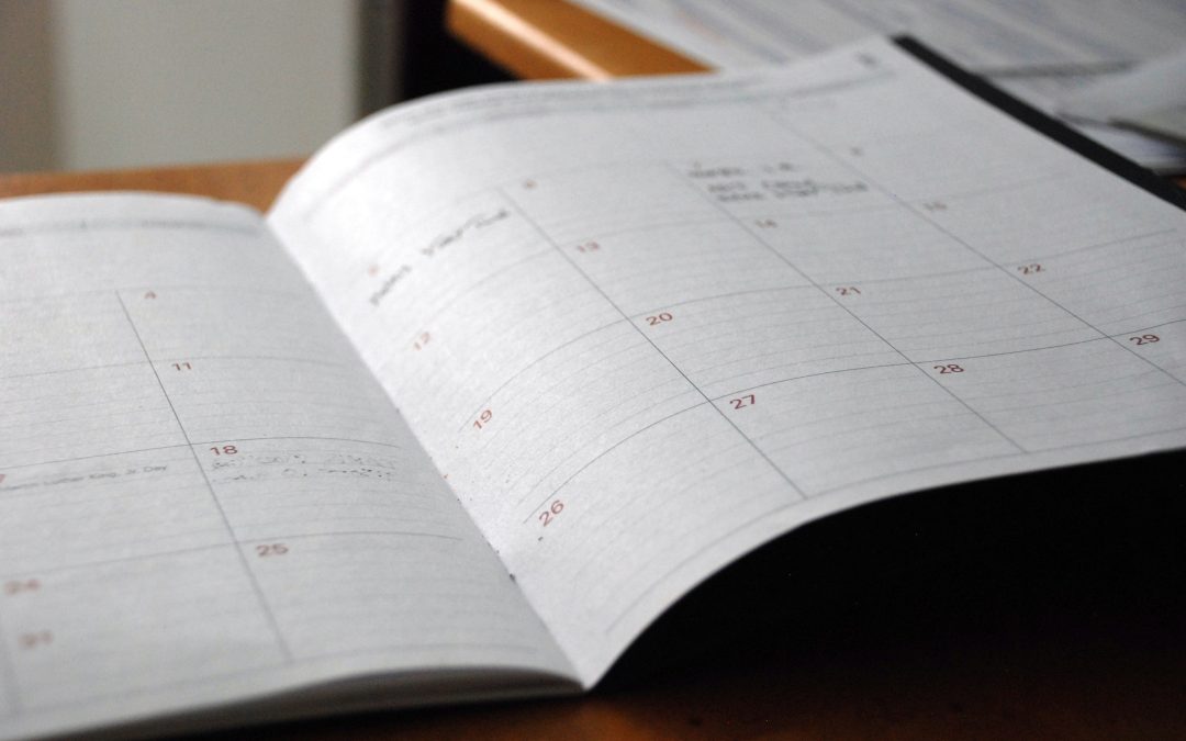 International students will be allowed to work 24 hours a week starting in September